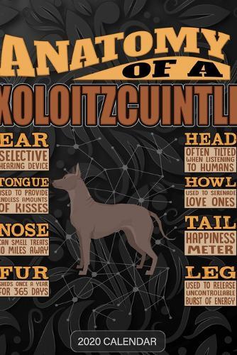 Anatomy Of A Xoloitzcuintli: Xoloitzcuintli 2020 Calendar - Customized Gift For Xoloitzcuintli Dog Owner