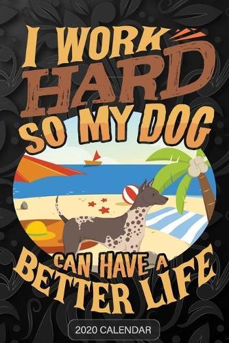 I Work Hard So My Dog Can Have A Better Life: American Hairless Terrier 2020 Calendar - Customized Gift For American Hairless Terrier Dog Owner