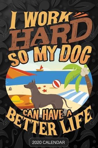 I Work Hard So My Dog Can Have A Better Life: Xoloitzcuintli 2020 Calendar - Customized Gift For Xoloitzcuintli Dog Owner