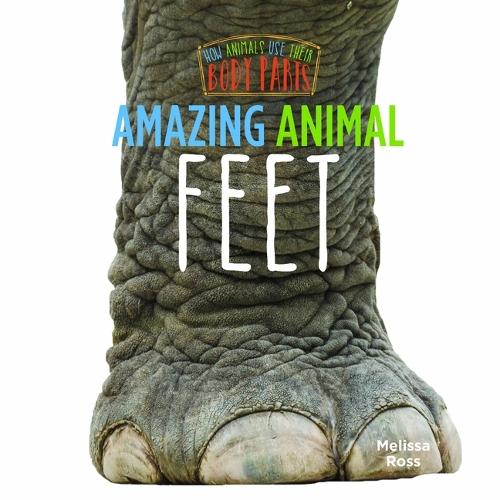 Amazing Animal Feet