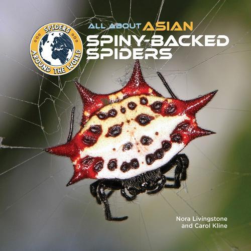 All about Asian Spiny-Backed Spiders