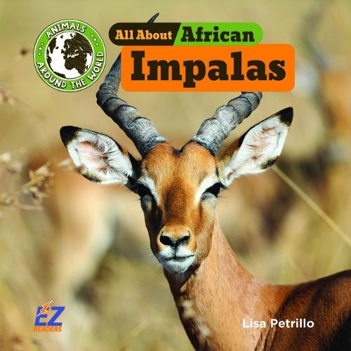 All about African Impalas