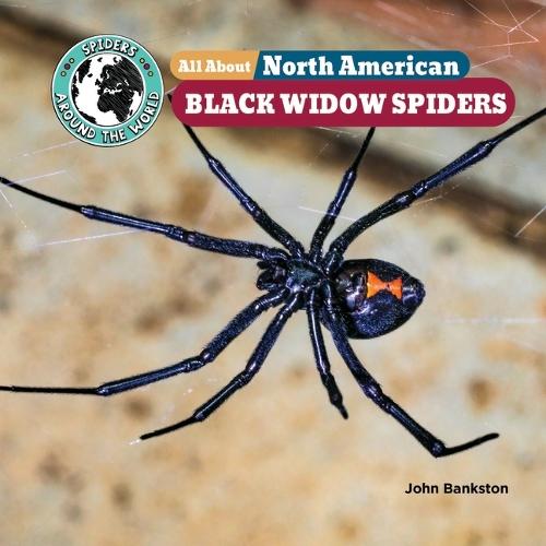 All about North American Black Widow Spiders