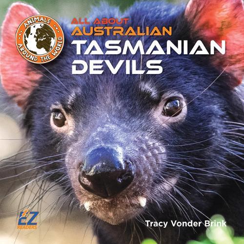 All about Australian Tasmanian Devils