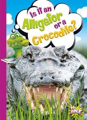 Is It an Alligator or a Crocodile?