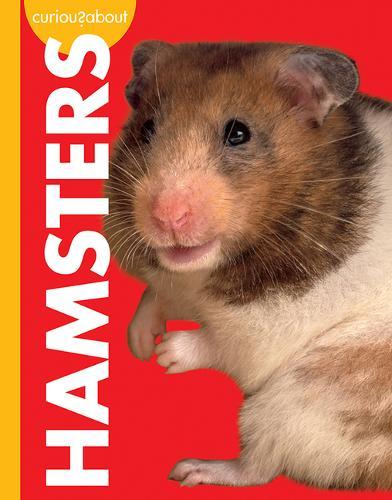 Curious about Hamsters
