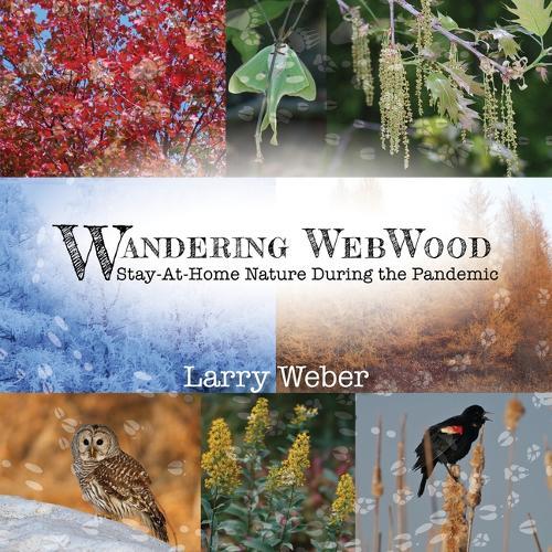 Wandering Webwood: Stay-At-Home Nature During the Pandemic