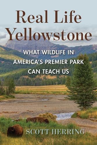 Real Life Yellowstone: What Wildlife in America's Premier Park Can Teach Us