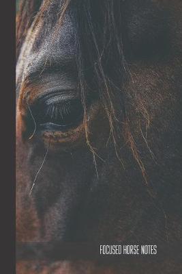 Focused Horse Notes: small lined Horse Notebook / Travel Journal to write in (6'' x 9'') 120 pages