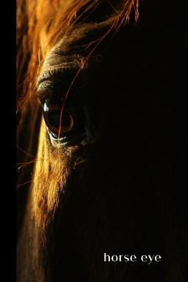 Horse Eye: small lined Horse Notebook / Travel Journal to write in (6'' x 9'') 120 pages