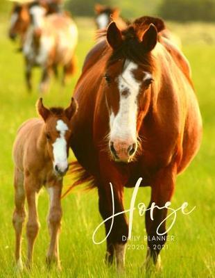 2020 2021 15 Months Horse Equine Foal Daily Planner: Academic Hourly Organizer In 15 Minute Interval; Appointment Calendar With Address Book; Monthly & Weekly Goals Journal Diary With Quotes; Jan 2020 To Mar 2021 With Julian Dates