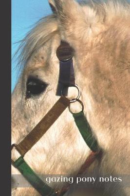 gazing pony notes: small lined Pony Notebook / Travel Journal to write in (6'' x 9'') 120 pages