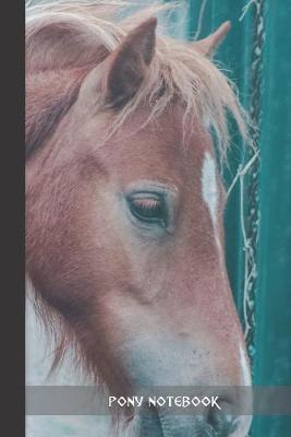 pony notebook: small lined Pony Notebook / Travel Journal to write in (6'' x 9'') 120 pages