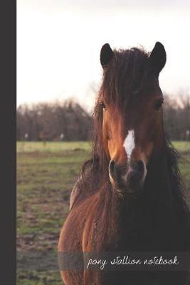 pony stallion notebook: small lined Pony Notebook / Travel Journal to write in (6'' x 9'') 120 pages