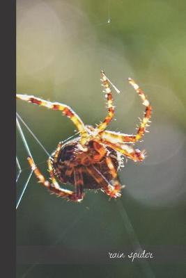 Rain Spider: small lined Spider Notebook / Travel Journal to write in (6'' x 9'') 120 pages