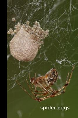 Spider Eggs: small lined Spider Notebook / Travel Journal to write in (6'' x 9'') 120 pages