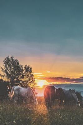 Horses Journal: 100 Blank Lined Pages for Horse Lovers, Riders, Breeders, Groomers, and Animal Enthusiasts