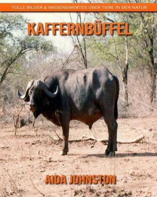 Kaffernbuffel: Tolle Bilder & Wissenswertes uber Tiere in der Natur