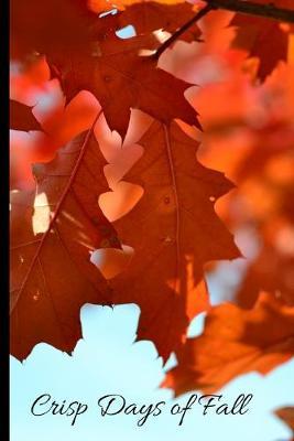 Crisp Days of Fall: Journal/Notebook/Diary