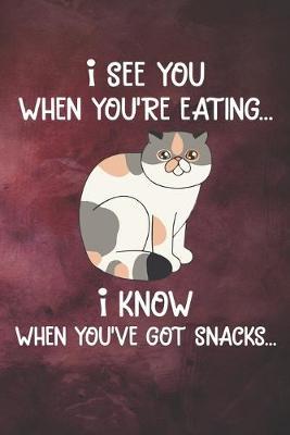 I See You When You're Eating I Know When You've Got Snacks Notebook Journal: 110 Blank Lined Papers - 6x9 Personalized Customized Notebook Journal Gift For Exotic Shorthair Cat Kitten Owners and Lovers
