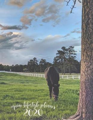 Equine Lifestyle Planner 2020: Monthly, Weekly, & Daily Schedules for Humans & Equine, Equine Maintenance, Appointments, Budget, Vaccines, Training Goals, Events, Track Behavior & Rides, Log Products You Use, Trailer Maintenance