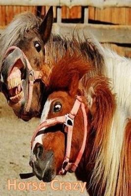 Horse Crazy: Equestrian Gift for Horse Lover Journal Notebook Diary to write in with Dot Grid Pages for Bullet Journal Method