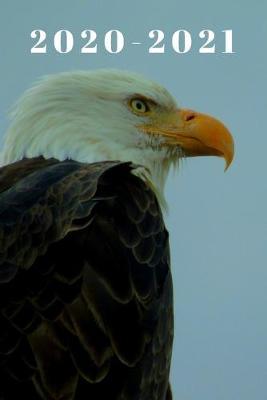 Proud Bird American Bald Eagle 25 Month Weekly Planner Dated Calendar for Women & Men: 2 years plus December To-Do Lists, Tasks, Notes or Appointments. Purse Size at-A-Glance Schedule Notebook