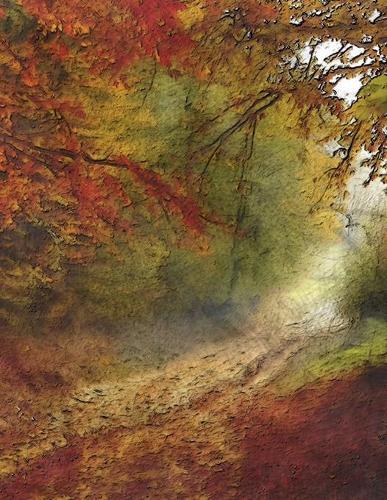 Notebook: autumn forest walk outdoor nature color season seasons