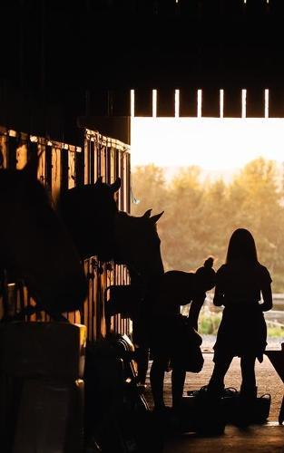 Notebook: equestrian horse competition riding animal equine 5  x 8  150 Ruled Pages