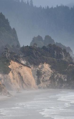 Notebook: Pacific Ocean Oregon Coast misty seascape 5  x 8  150 Ruled Pages