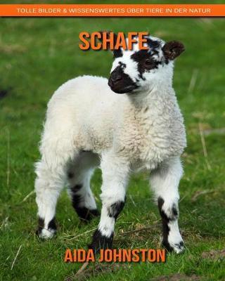 Schafe: Tolle Bilder & Wissenswertes uber Tiere in der Natur
