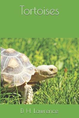 Tortoises