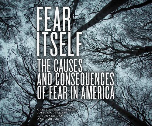 Fear Itself: The Causes and Consequences of Fear in America