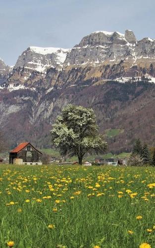 Notebook: The Alps dandelion field panorama village plants spring