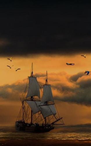 Notebook: nature pirate ship sailing vessel ocean sails pirates history