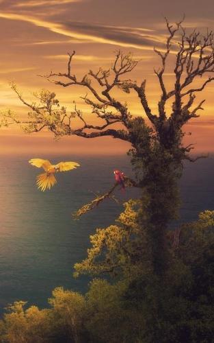 Notebook: sea ornithology natural history parrots macaw sunset life science