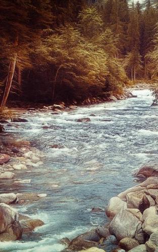 Notebook: landscape creek bed fantasy river rocks nature natural forest