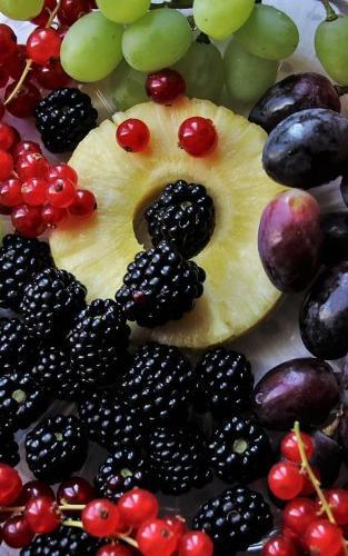 Notebook: colorful fruit lean delicious healthy fit bio