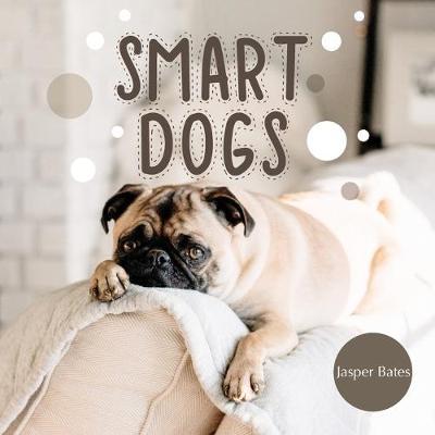 Smart Dogs: Enjoy facts about dogs that you may don't know before