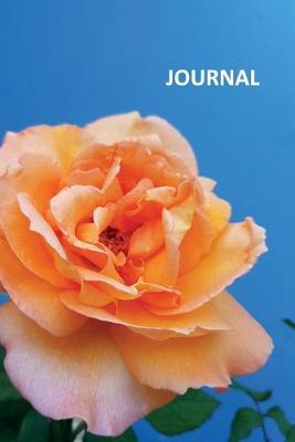 Journal: Peach rose Useful Bullet Journal Dot Grid Daily Planner Student flower christmas gifts