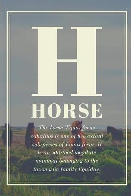 H Horse: Lined Notebook Journal - For Horse Lovers Animal Enthusiasts - Novelty Themed Gifts