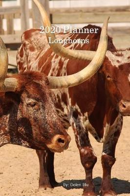 2020 Planner Longhorns