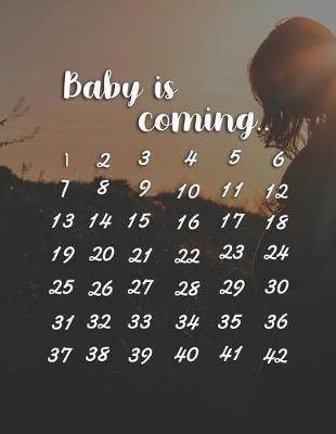 Baby Is Coming: Pregnancy Planner And Organizer, Diary, Notebook Mother And Child