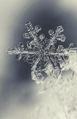 Snowflake 5.5  x 8.5  Dotted Journal Notebook: 100 pages White Dot Grid Paper for Travelers, Students, Artists, and Writers