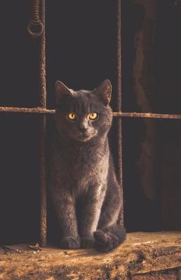 Gray Cat 5.5  x 8.5  Dotted Journal Notebook: 100 pages White Dot Grid Paper for Travelers, Students, Artists, and Writers