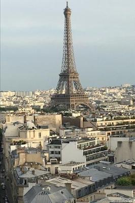 Paris Skyline (A Joy Notes Notebook): Journal, Diary, Notebook, Notepad, Organizer - Lined Paper, 120 Pages, 6 x 9 Inches in Size