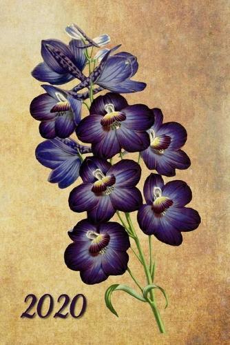 2020: Orchideen Vintage Kalender - Wochenkalender - Zielsetzung - Zeitmanagement - Produktivitat - Terminplaner - Terminkalender +12 Seiten Arbeitszeitennachweis + 20 Seiten Adressen + 20 Seiten Punktraster fur Notizen und Skizzen