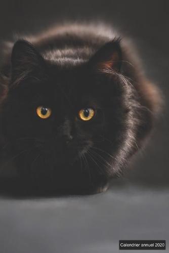 Calendrier annuel 2020: &#9830; Manuel de l'organisateur pratique pour 2020 &#9830; Apercu de 12 mois &#9830; 52 planificateur hebdomadaire avec taches et objectifs &#9830; format 6x9 pratique &#9830; motif: schwarze Katze