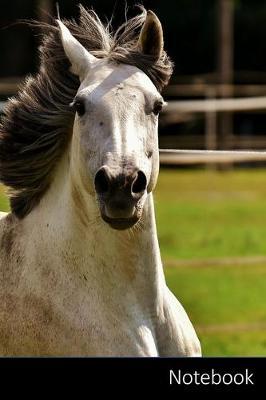 Notebook: Horse, Mold, Pony, Fool Around themed Notebook / Journal / Diary / Composition book / Daily Planner / Sketchbook - 6 x 9 inches (15,24 x 22,86 cm), 150 pages, glossy finish.