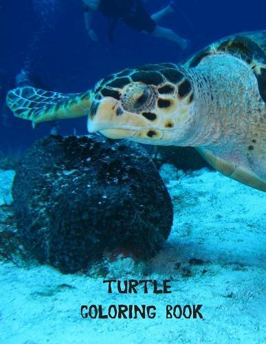 Turtle coloring book: Coloring Toy Gifts for Toddlers, Kids or Adult Relaxation Cute Easy and Relaxing Realistic Large Print Birthday Gifts